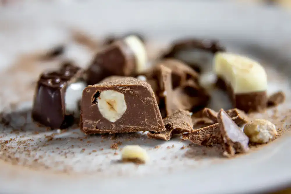 Hazelnut praline chocolate cut in half showing texture